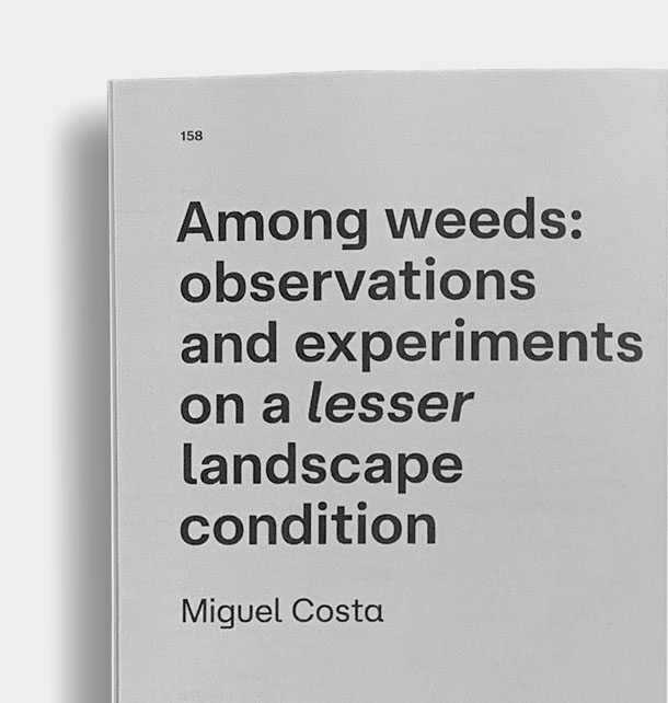 [essay] Among weeds: observations and experiments on a lesser landscape condition